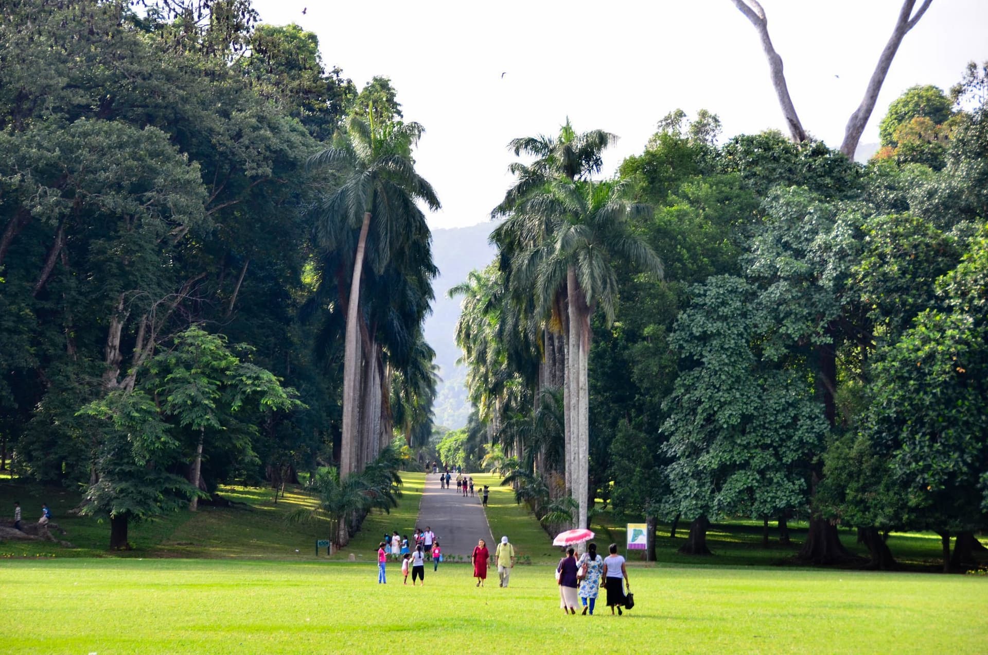 People at Royal botanic gardens