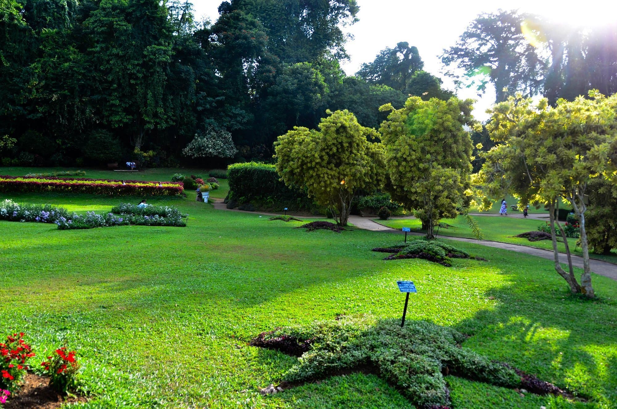 royal botanic gardens