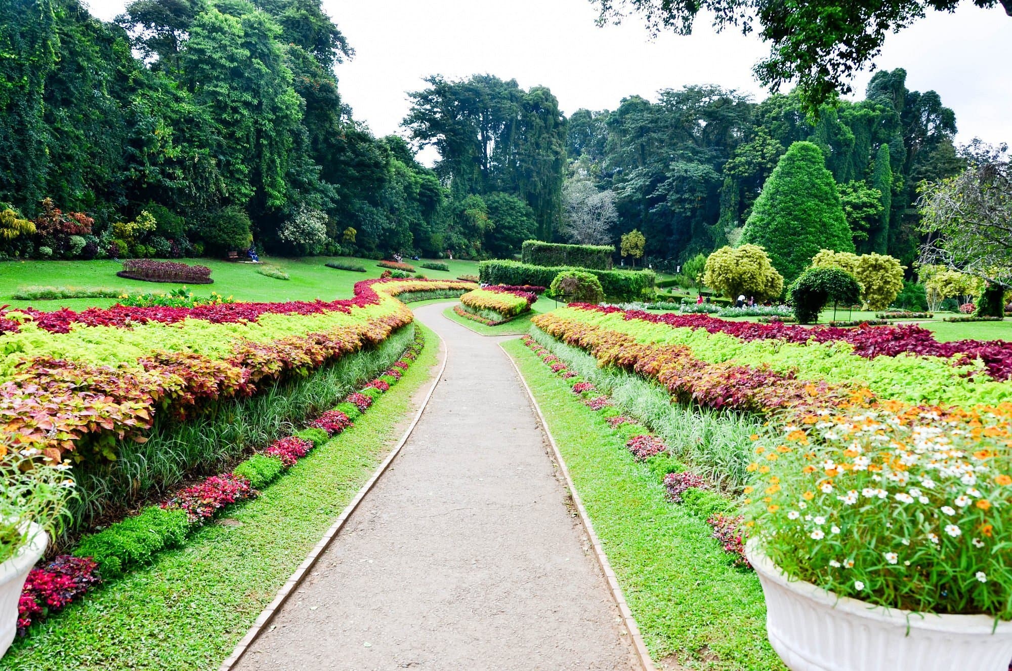 Royal Botanical Garden