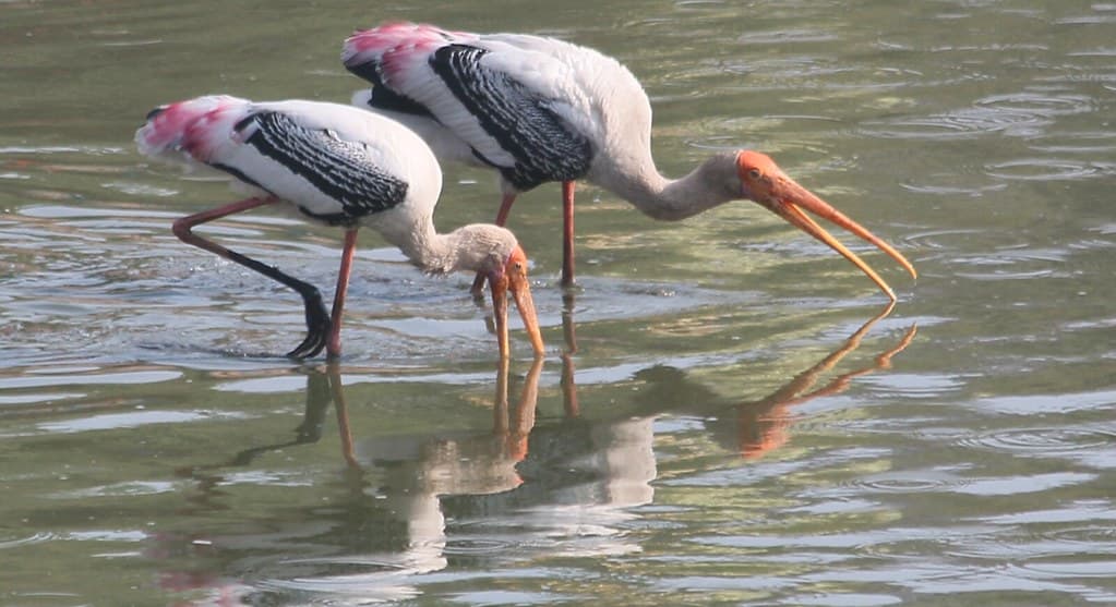Vastrapur Lake, Ahmedabad