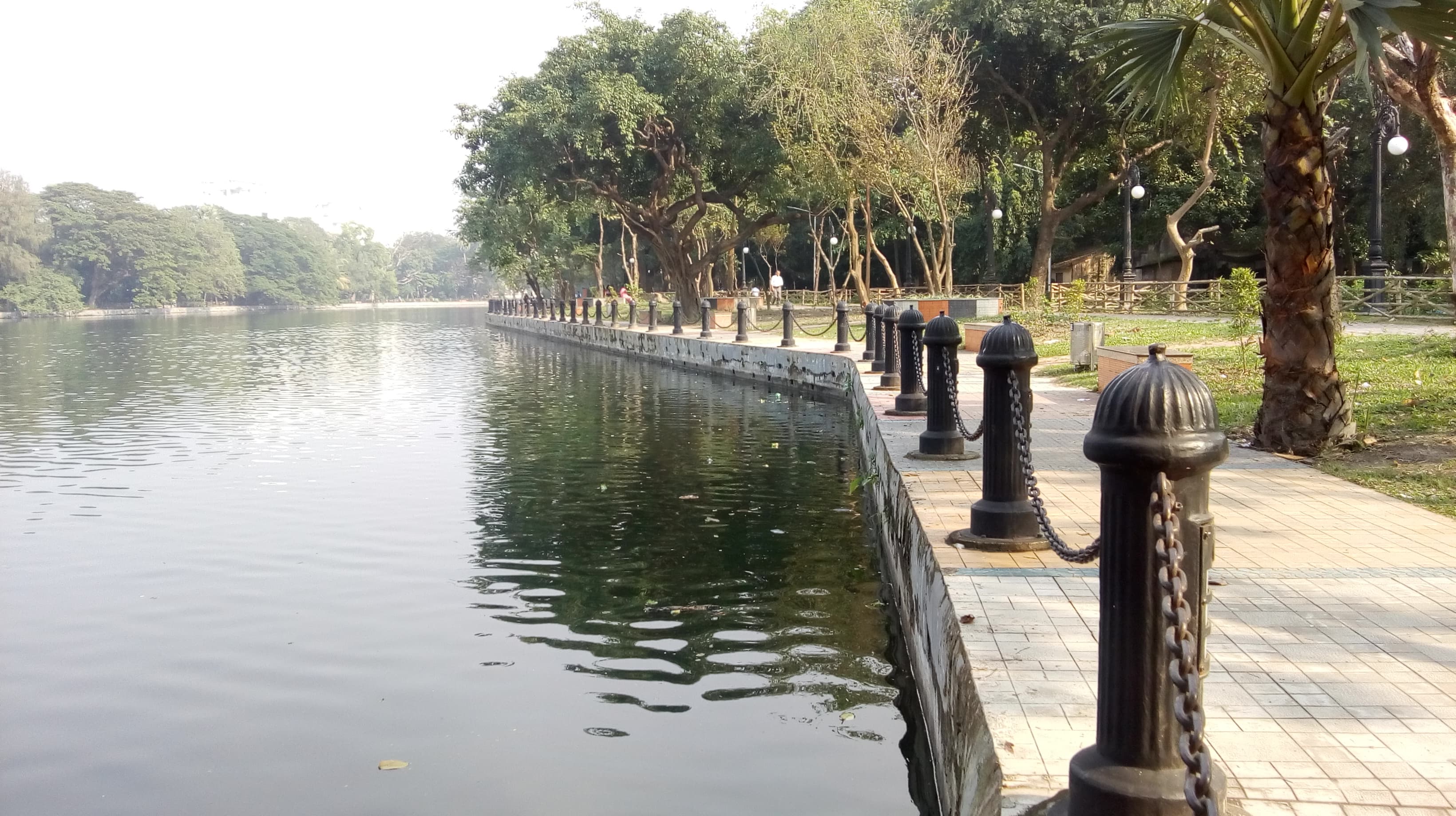 Scenic reflection on Rabindra Sarobar lake