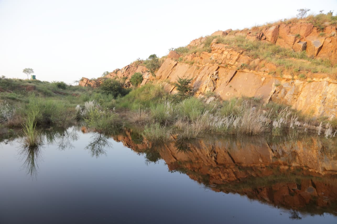 Aravali Biodiversity Park