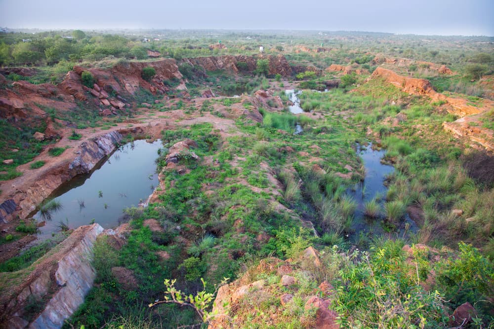Aravali Biodiversity Park ariel view