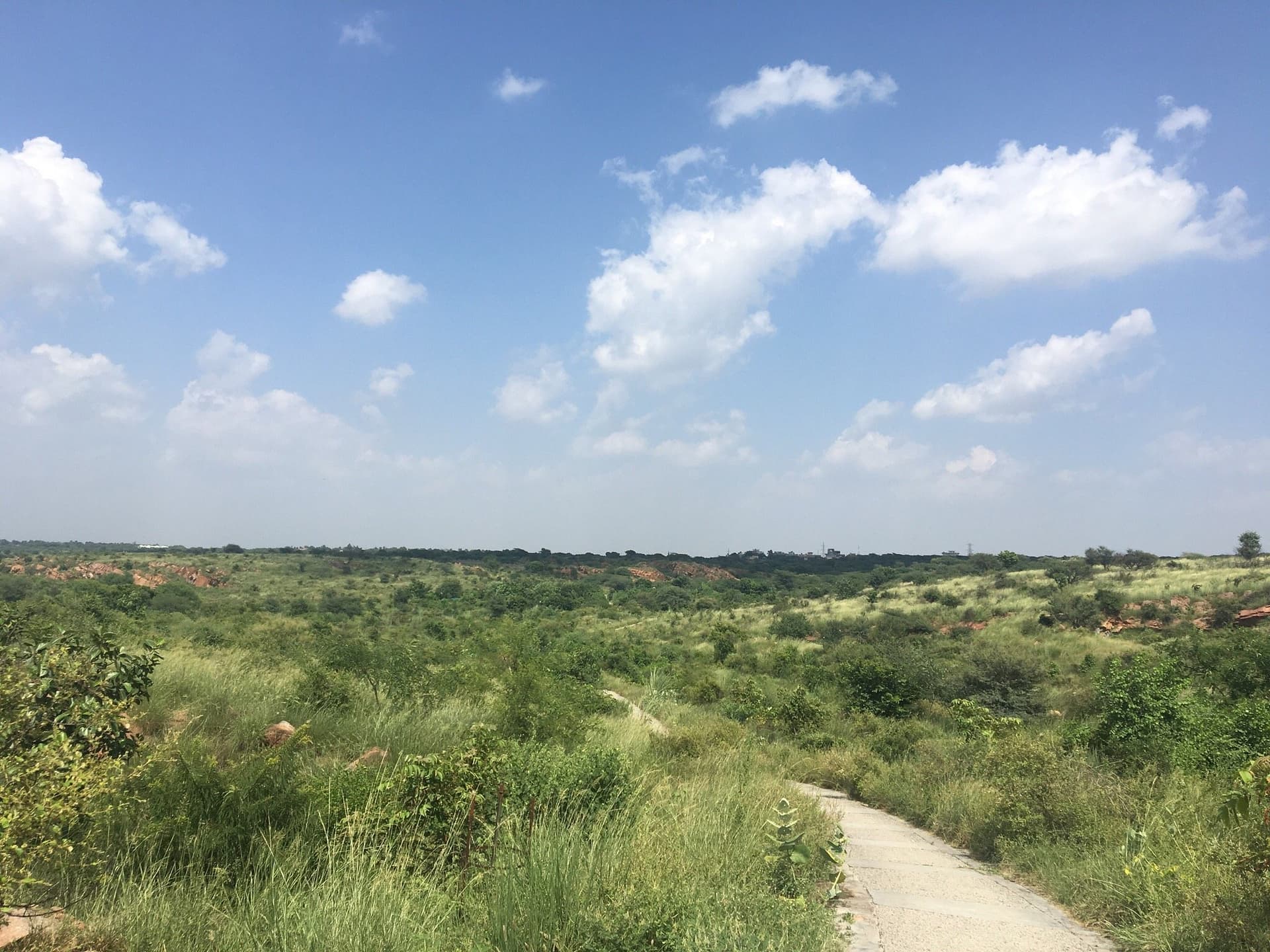 Aravali Biodiversity Park