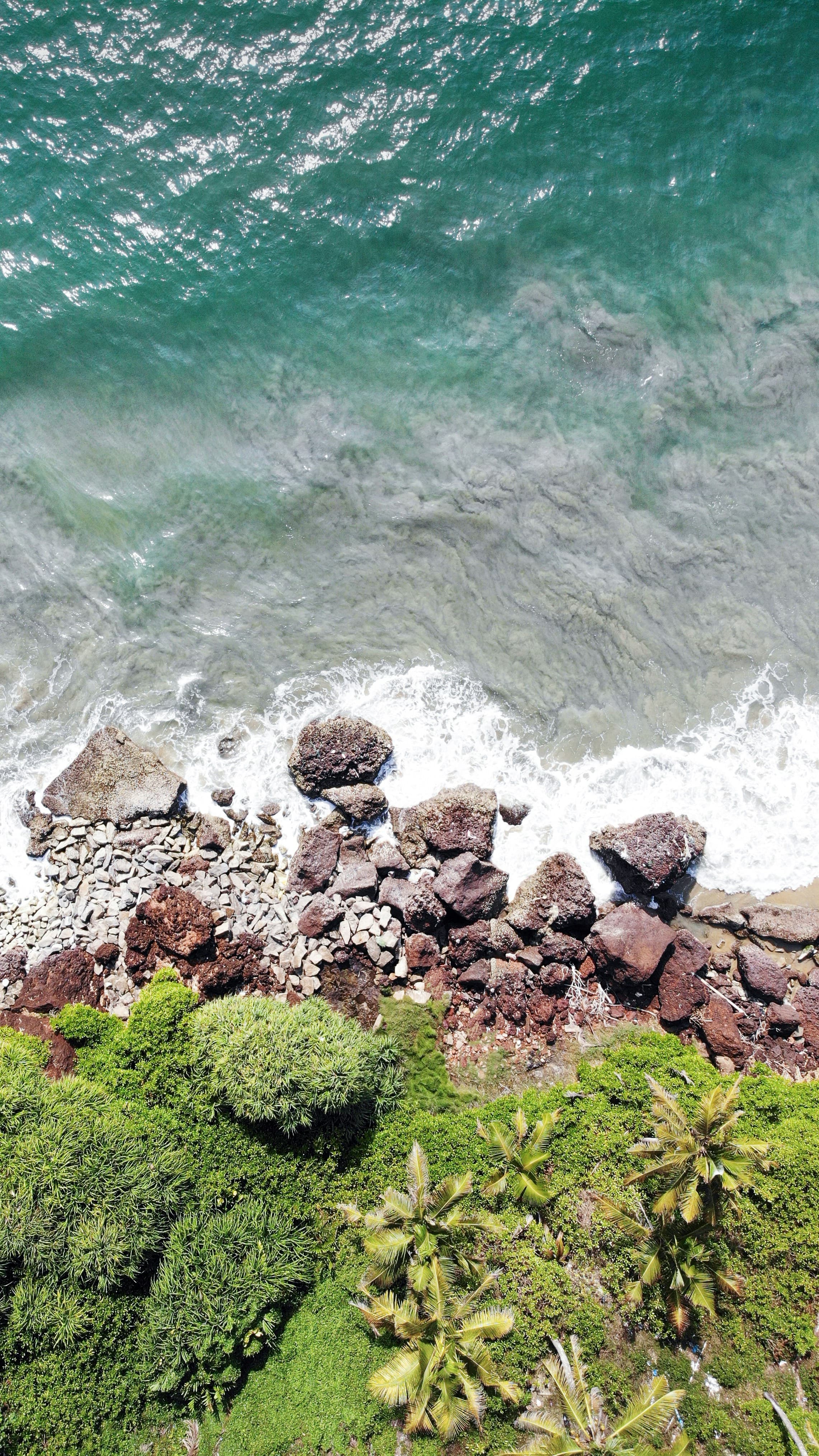 waters of Varkala beach from the varkala cliff