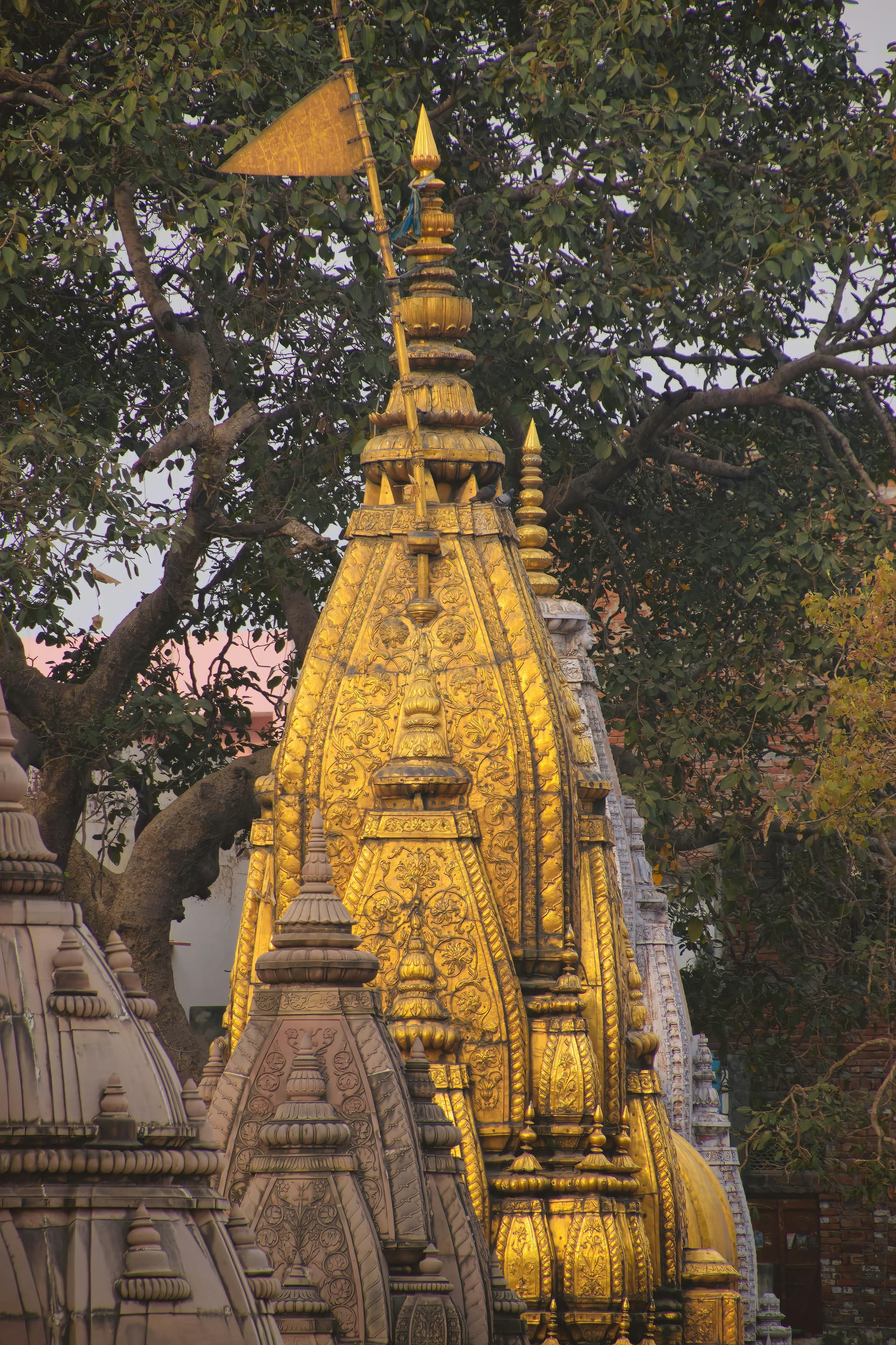 Kashi Vishwanath Temple, Varanasi