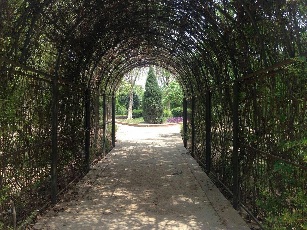 Tau Devi Lal Biodiversity Park