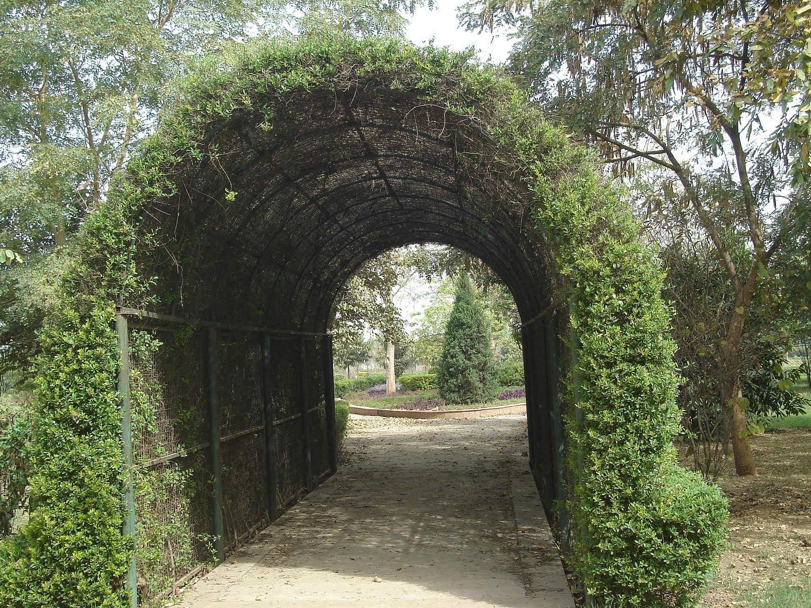 Tau Devi Lal Biodiversity Park