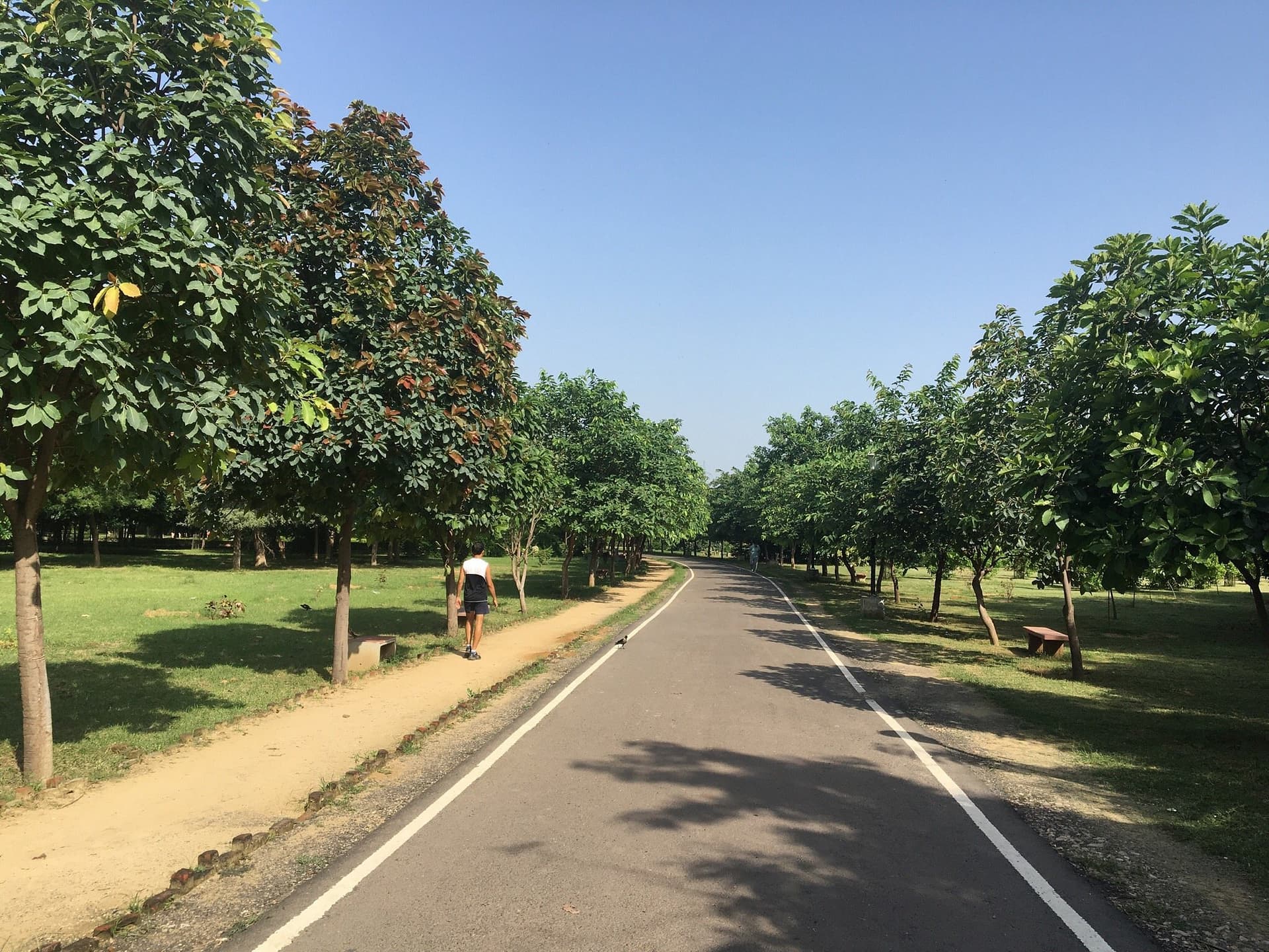 Tau Devi Lal Biodiversity Park