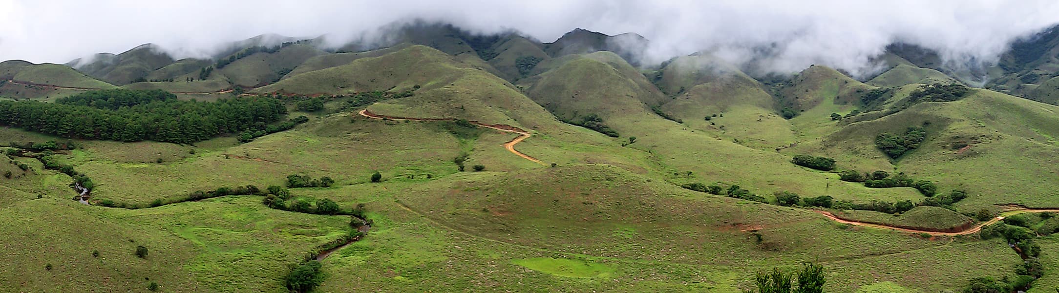 Aerial view of Nilgiri Biosphere Nature Park