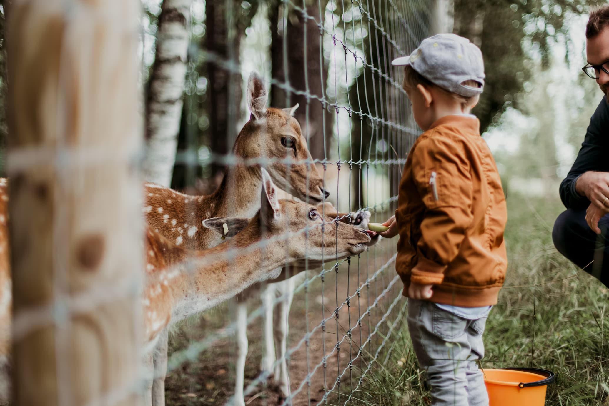 Children enjoying the sight of animals at Mysore Zoo