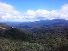 Mist-covered hills at Talakaveri Bhagmandala Reserve