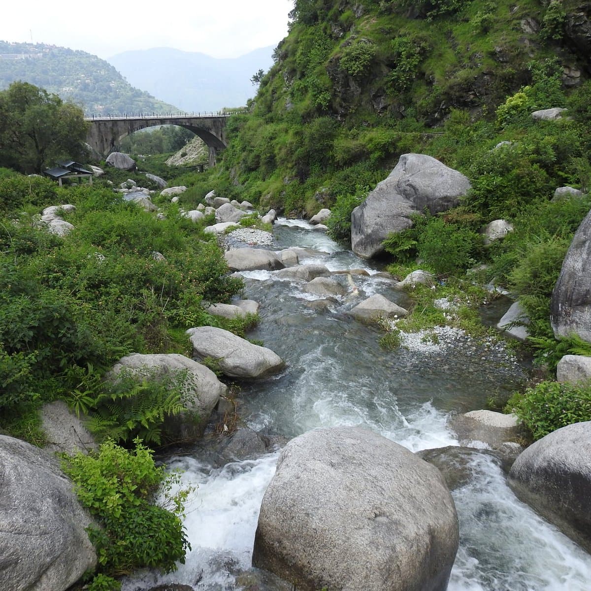 Rock Garden Darjeeling