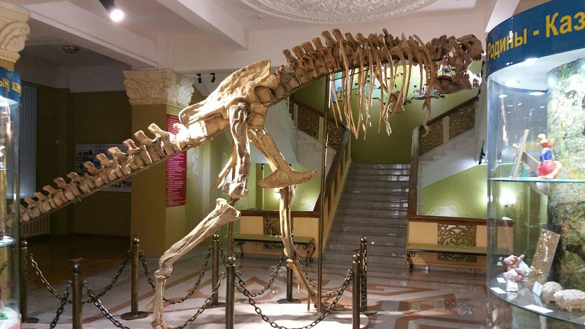Dinosaur displayed at the Central State Museum