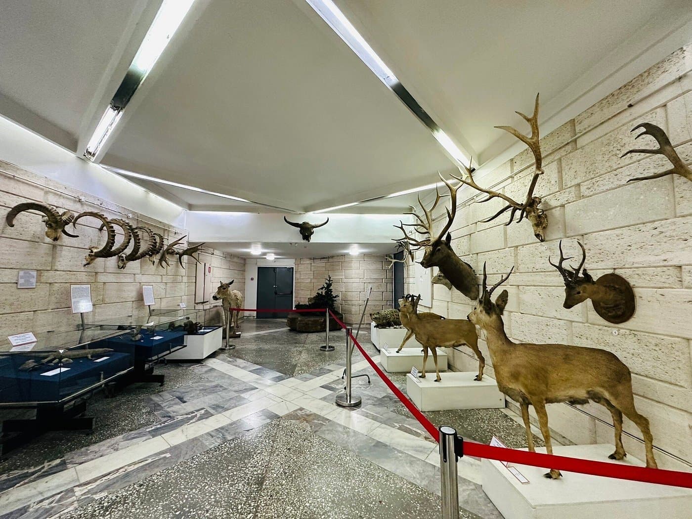 Central State Museum of the Republic of Kazakhstan