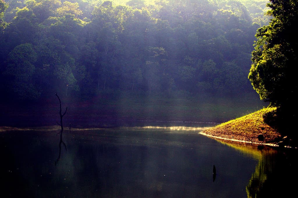 Scenic view of Periyar Lake Kerala