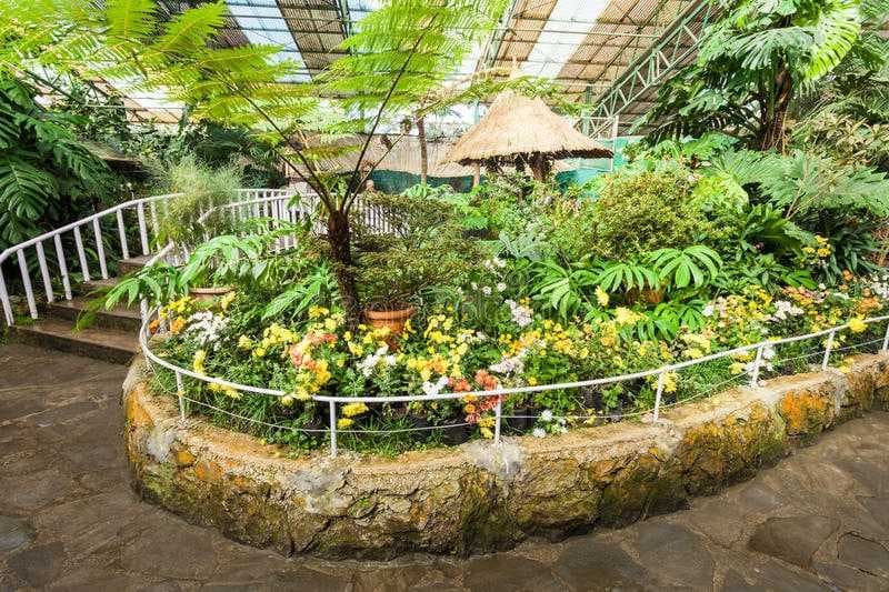 Exhibition Center for Flowers: A Blooming Marvel