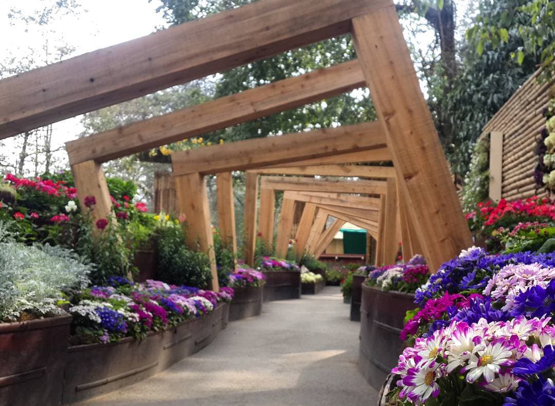 Exhibition Center for Flowers: A Blooming Marvel