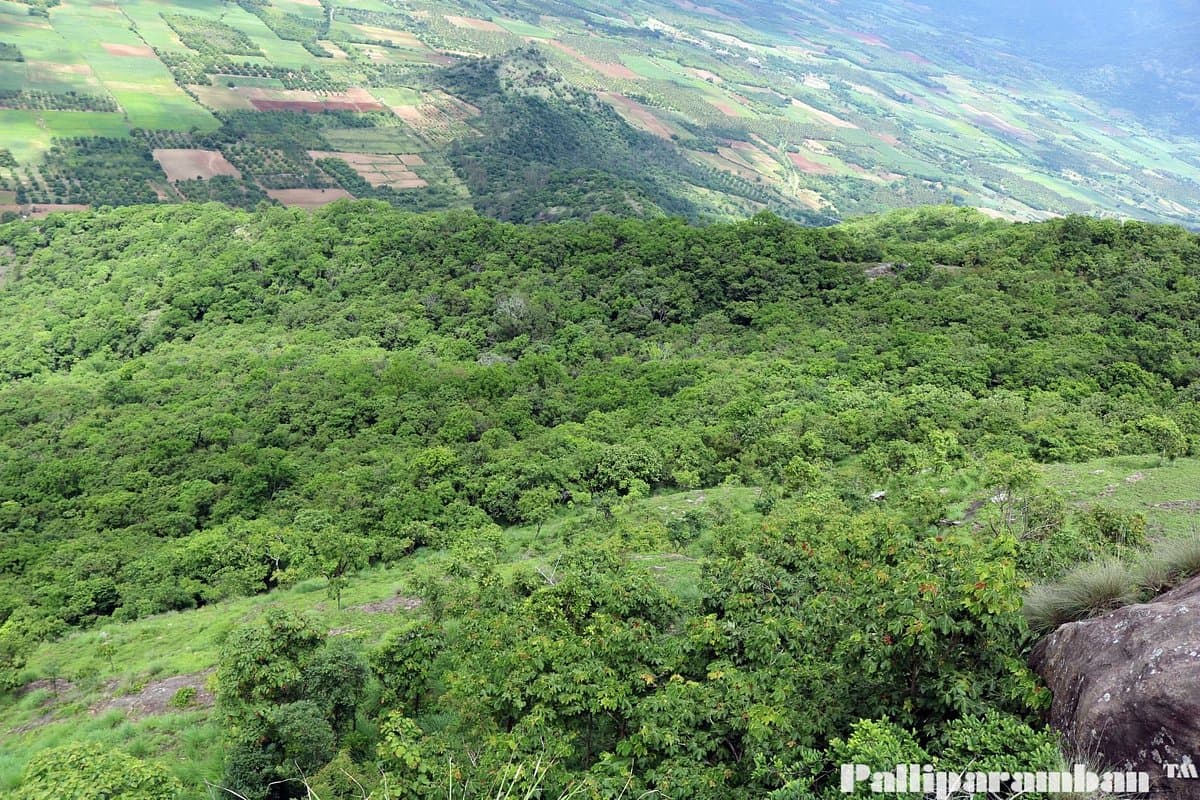 Chellarkovil viewpoint nature scenery