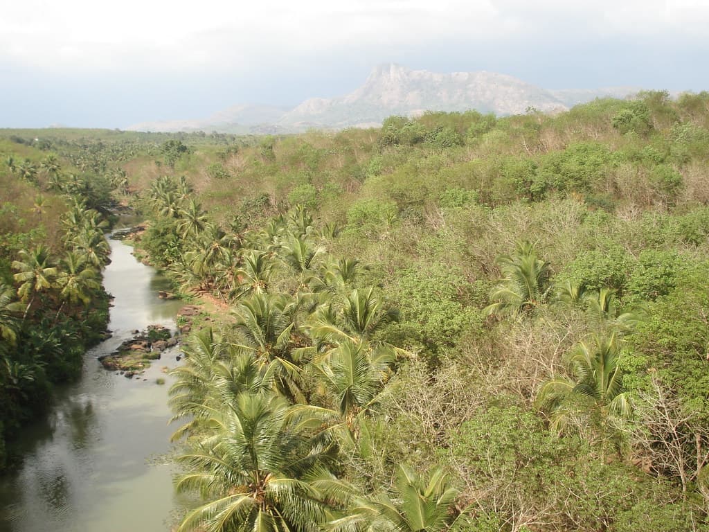 View from Mathur Aqueduct