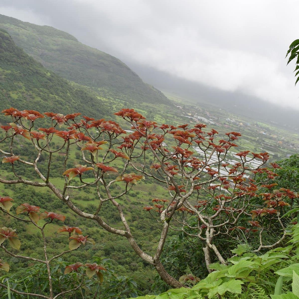 Viewpoint at Duke's Nose
