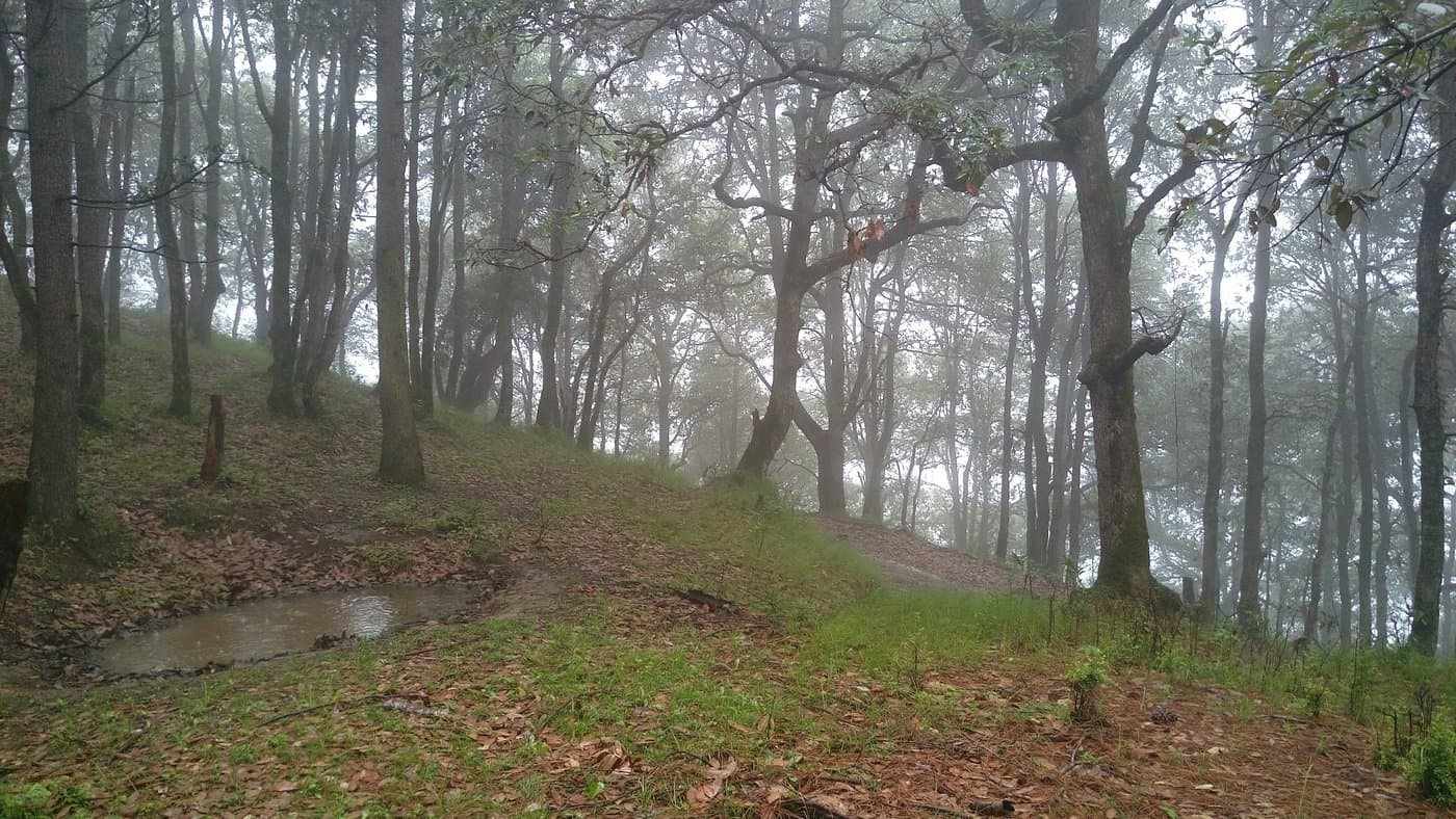 Chail Wildlife Sanctuary