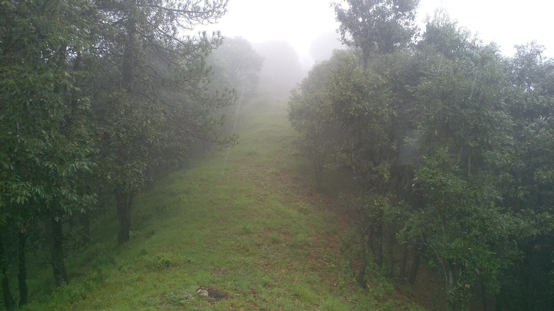 Chail Wildlife Sanctuary