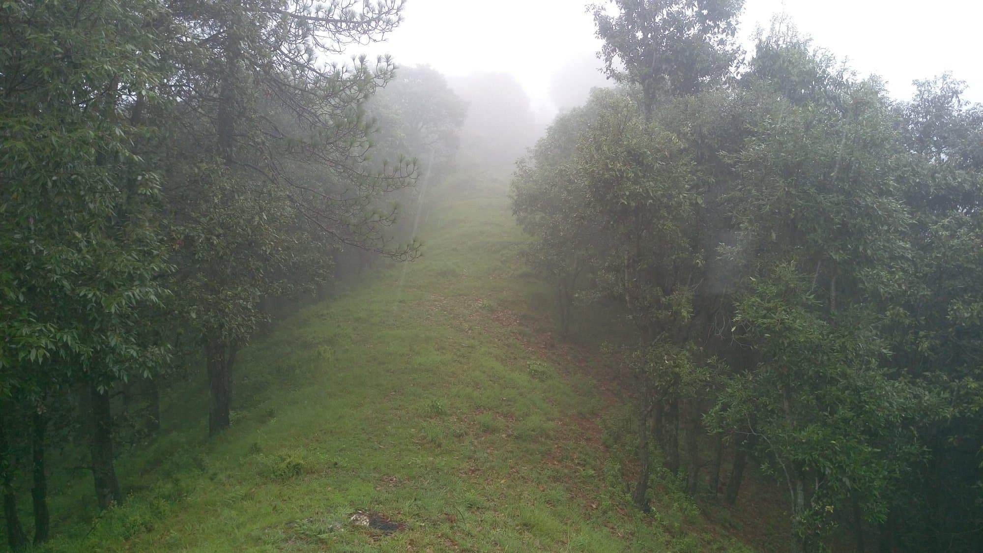 Chail Wildlife Sanctuary