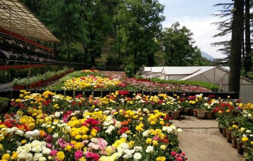 Company Garden, Mussoorie