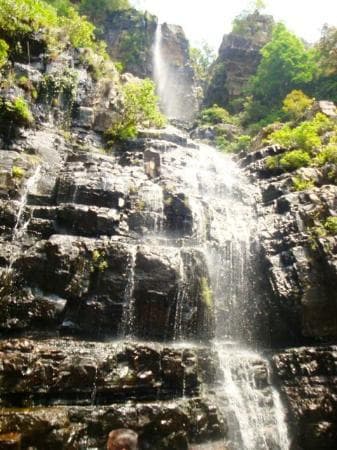Scenic surroundings of Talakona Waterfalls