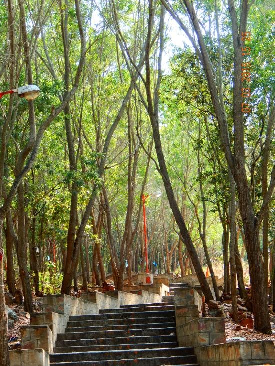 Hiking path to Japali Theertham