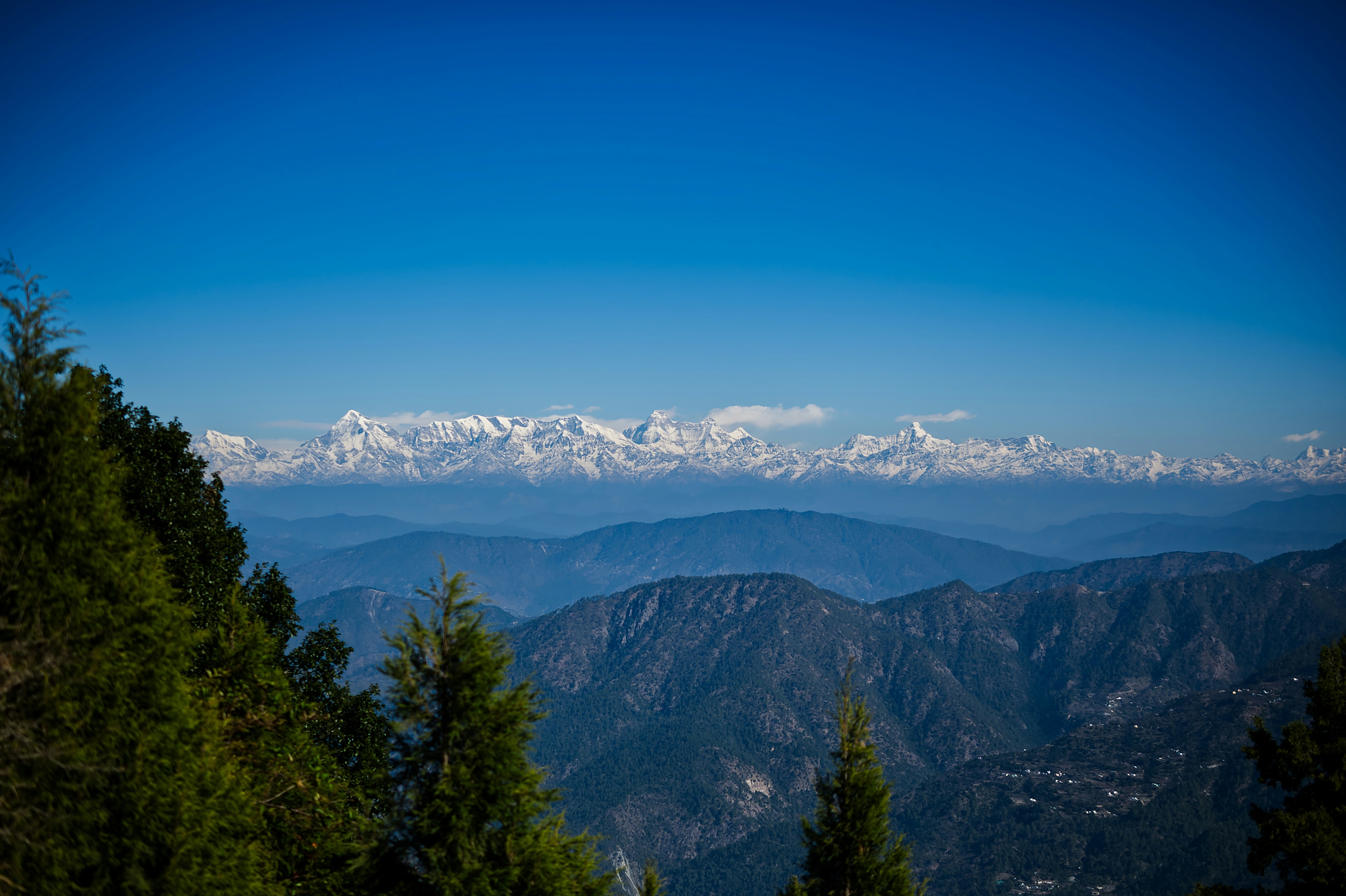 nanital