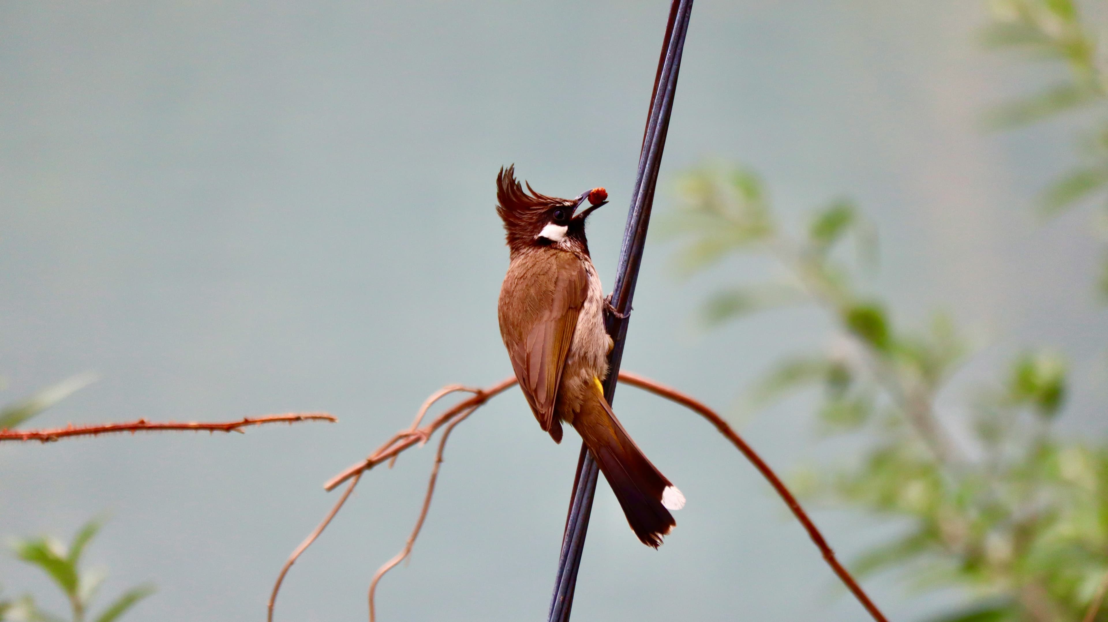 Pangot and Kilbury Sanctuary