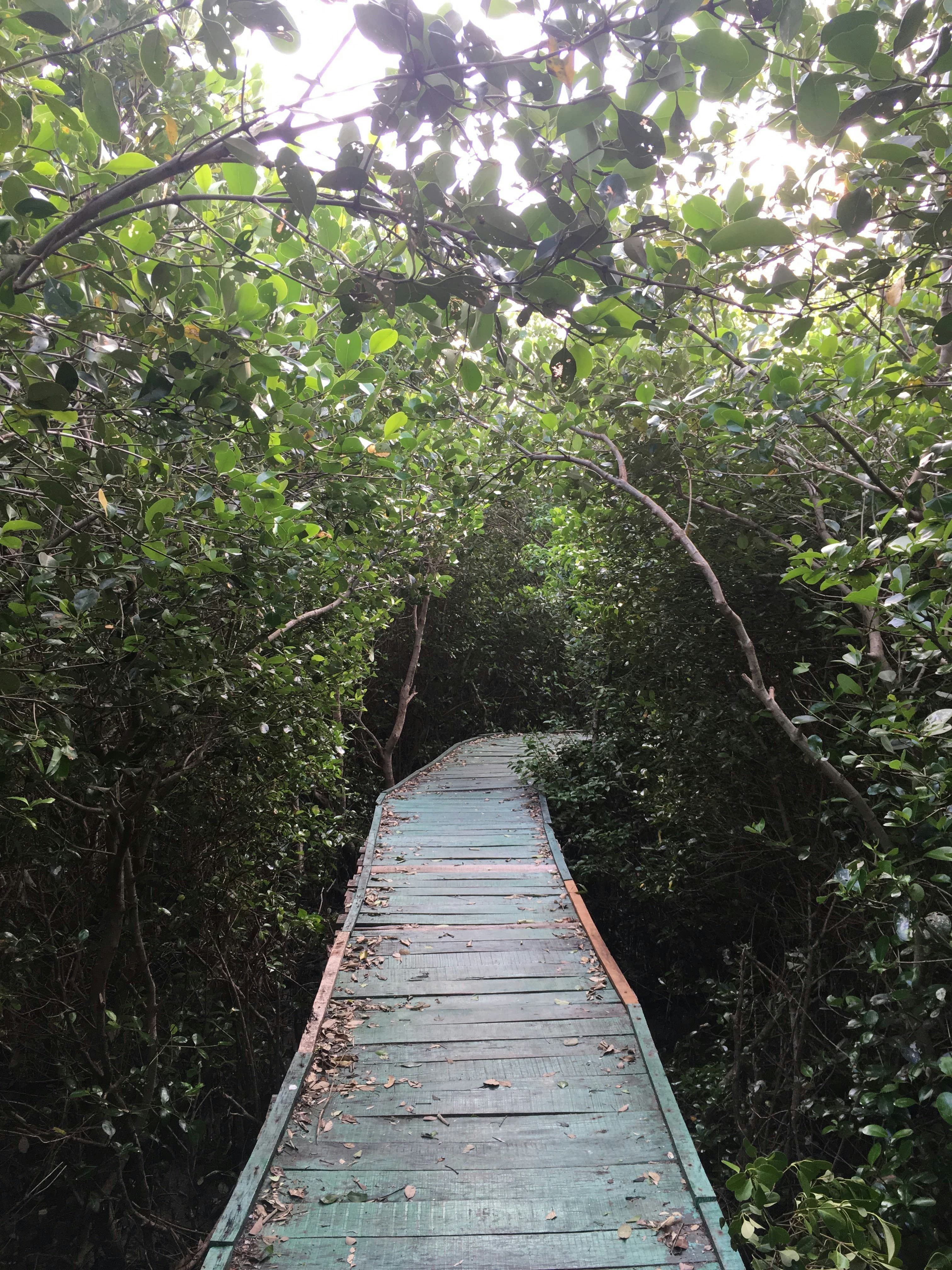 Pangot and Kilbury Sanctuary