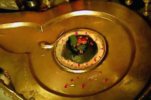 Linga in Daksha Mahadev Temple
