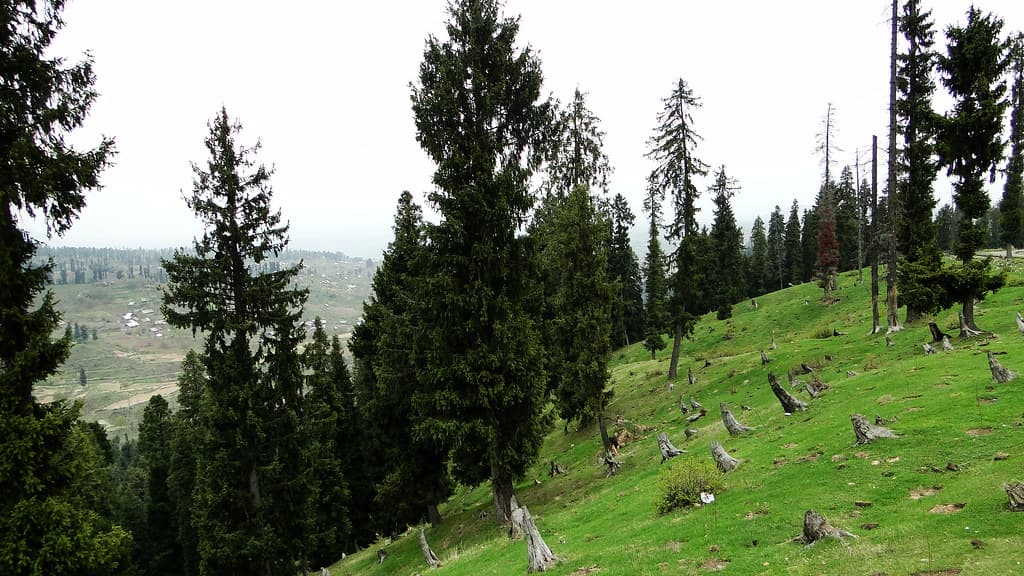 Hills and meadows of Doodhpathri