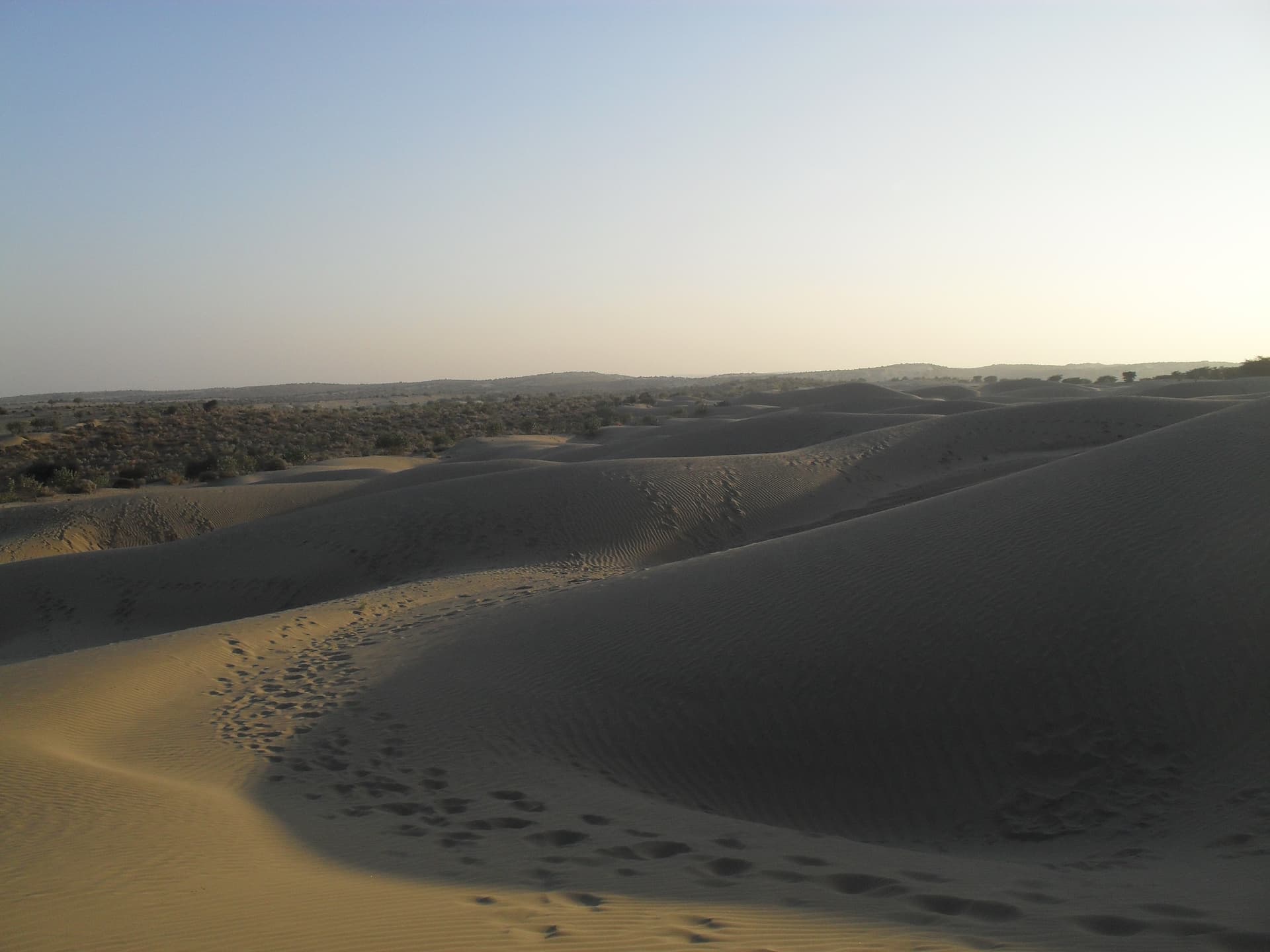 Desert National Park, Jaisalmer