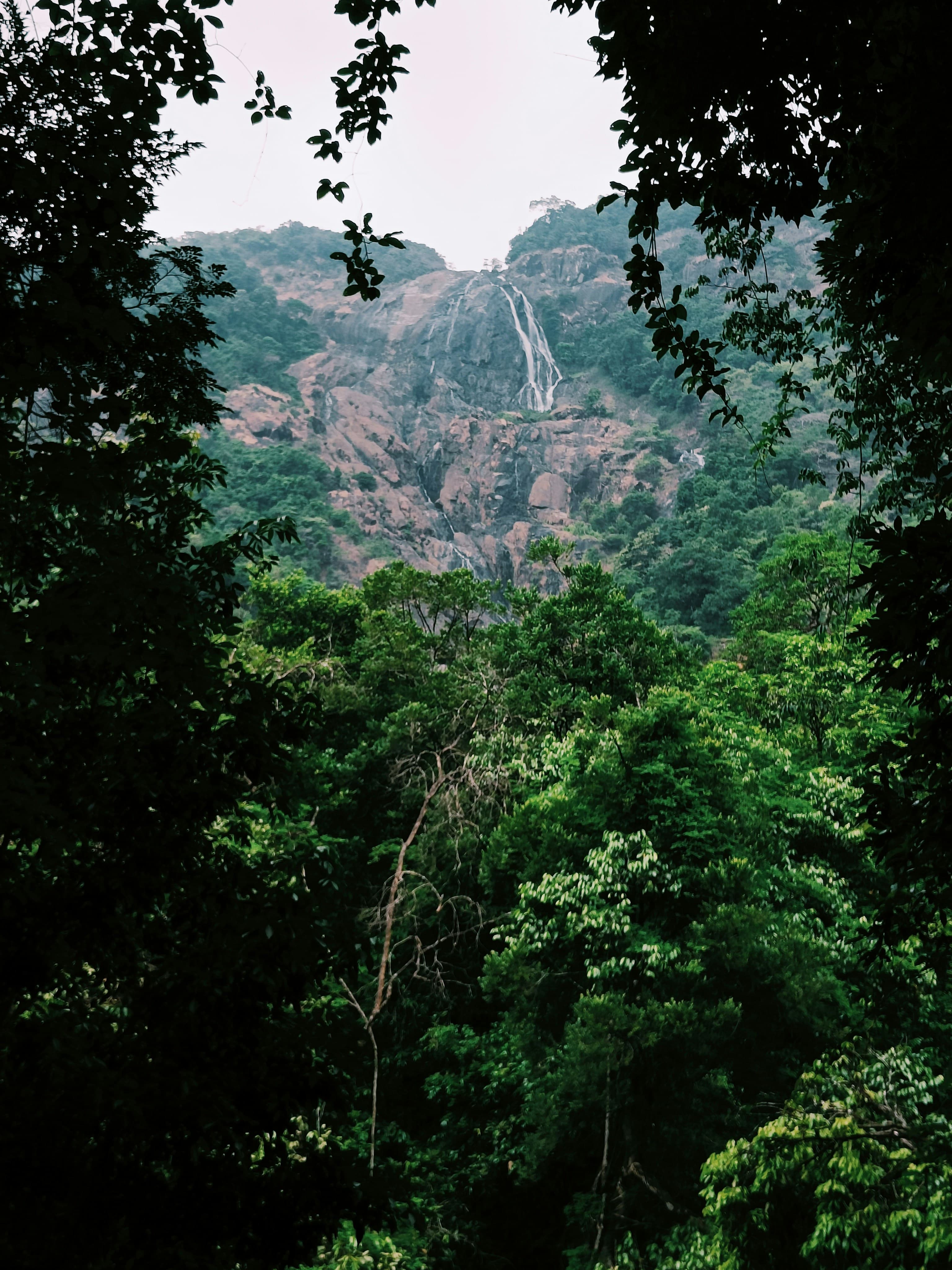 Dudhsagar Waterfalls