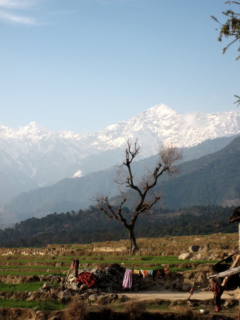 Tibetan Colony, Bir Billing