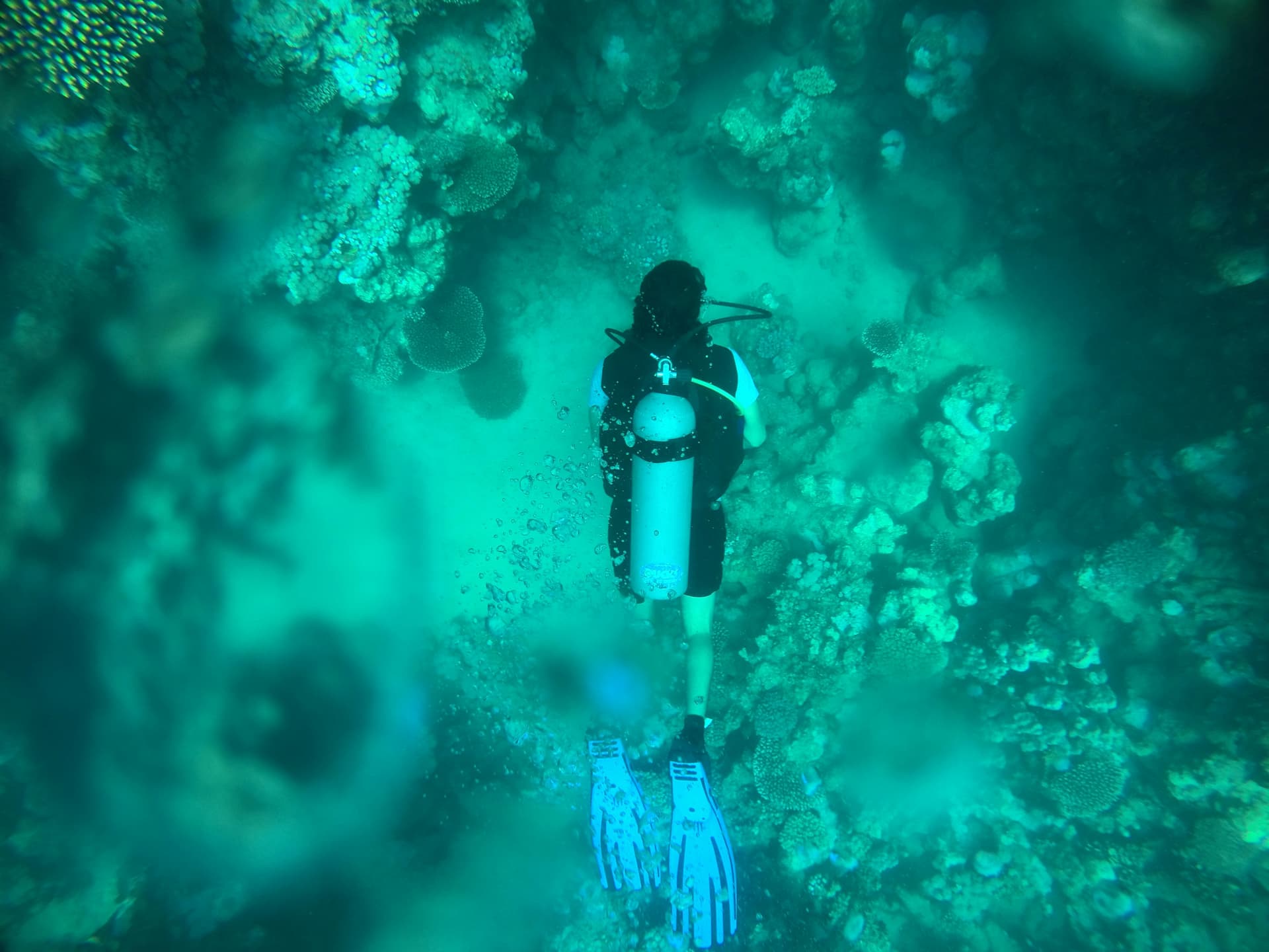 Scuba Diving