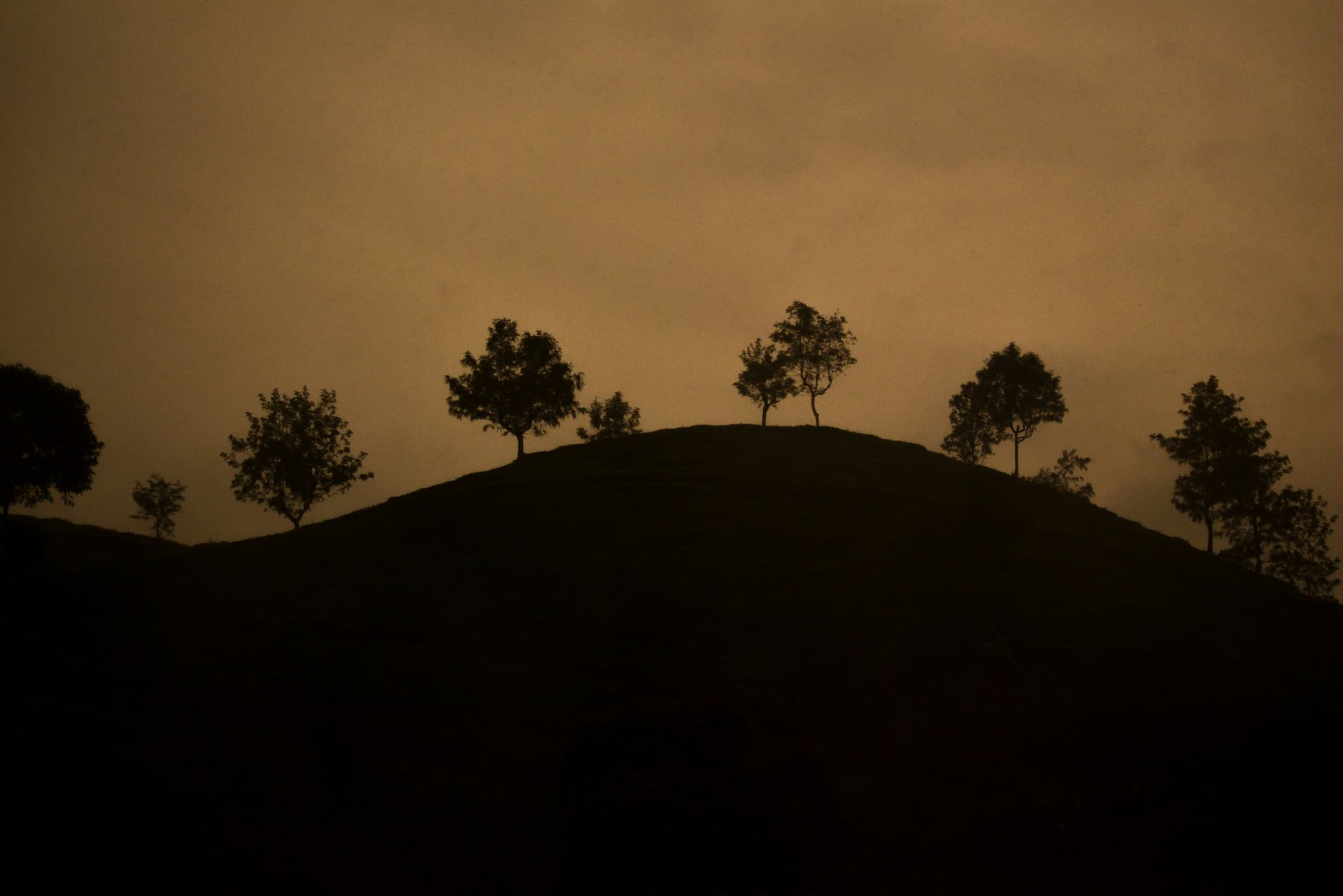 Ooty at sunset