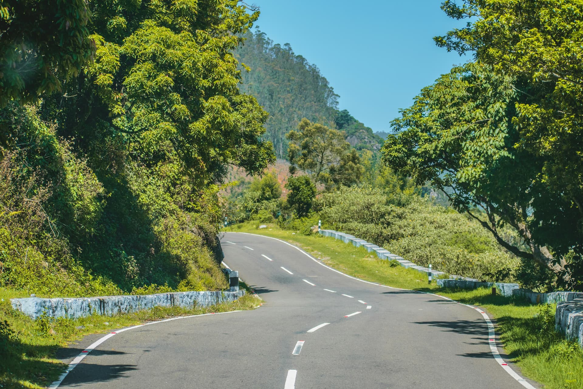 Roads of Ooty