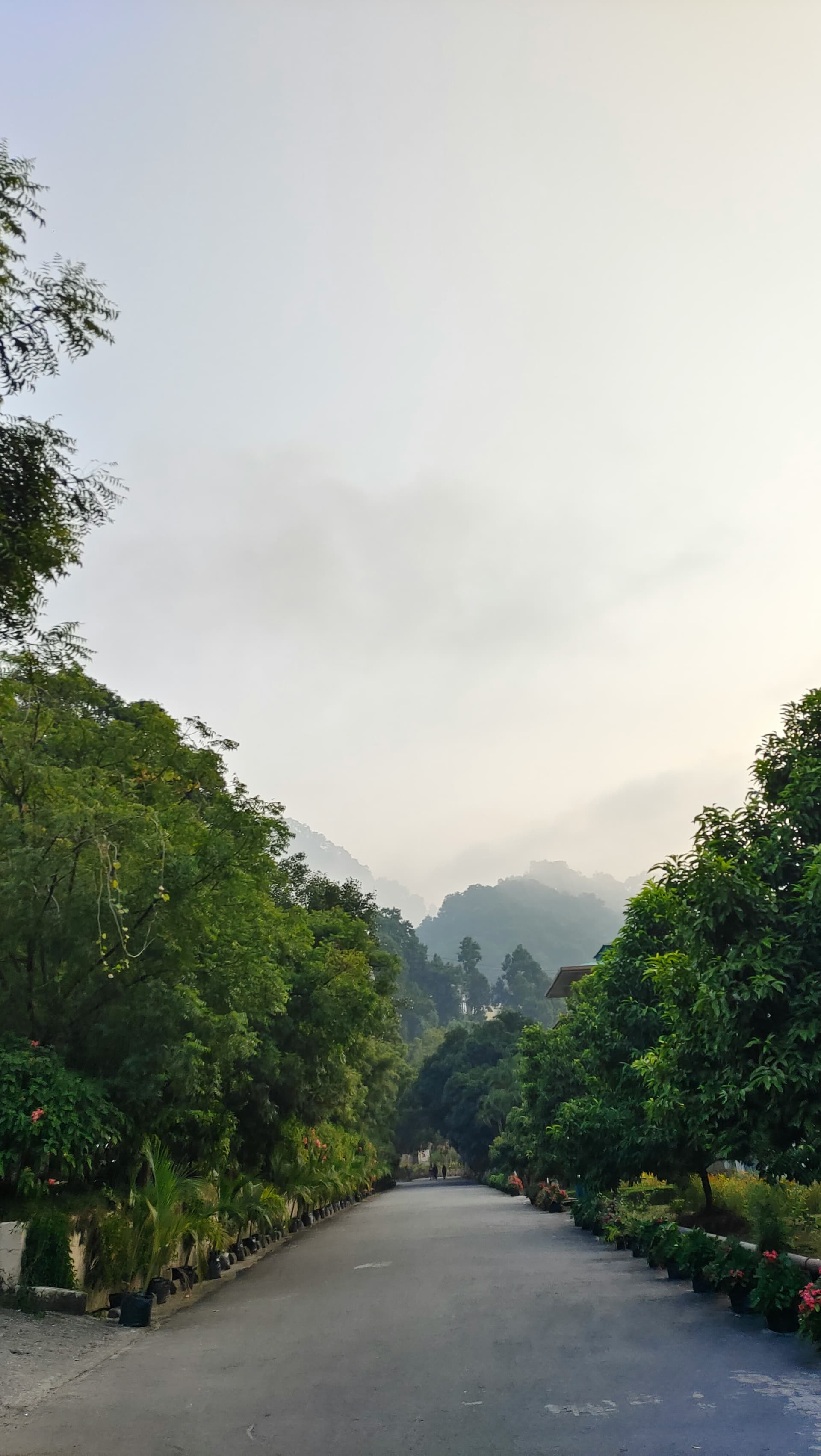 Roads of Sikkim