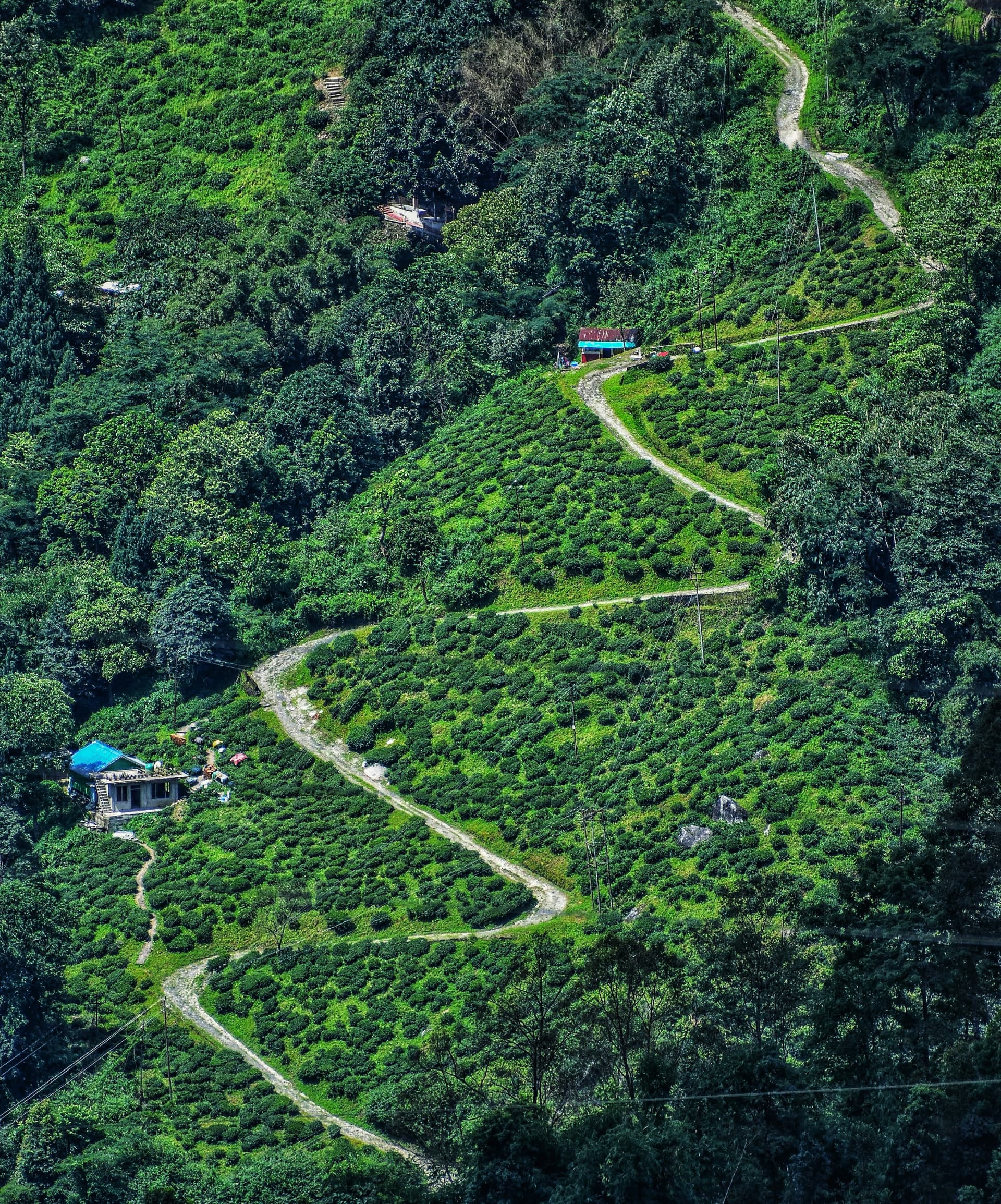 Darjeeling, West Bengal