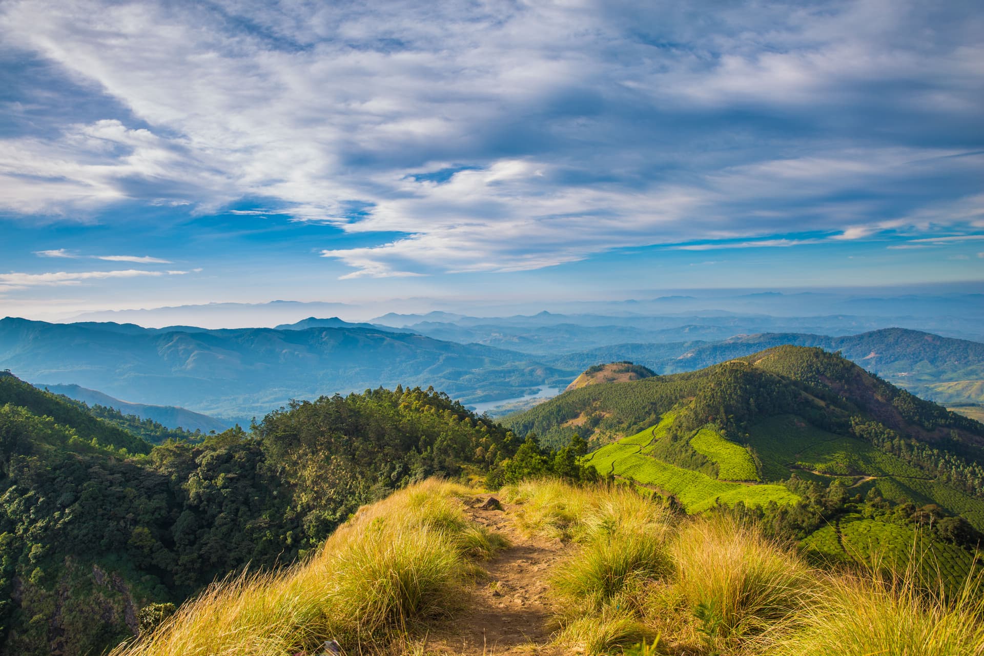Kolukkumalai Peak, Munnar