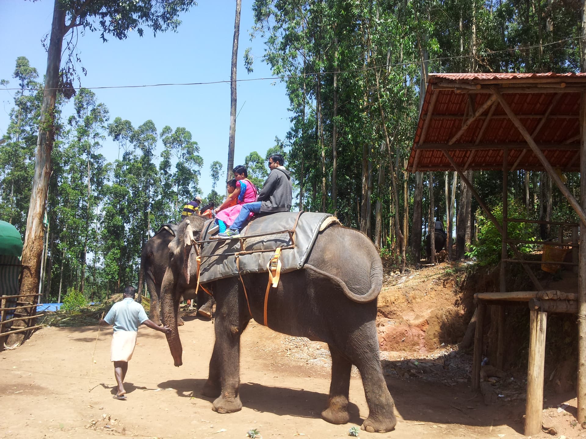 Elephant Ride at Carmelagiri Elephant Park