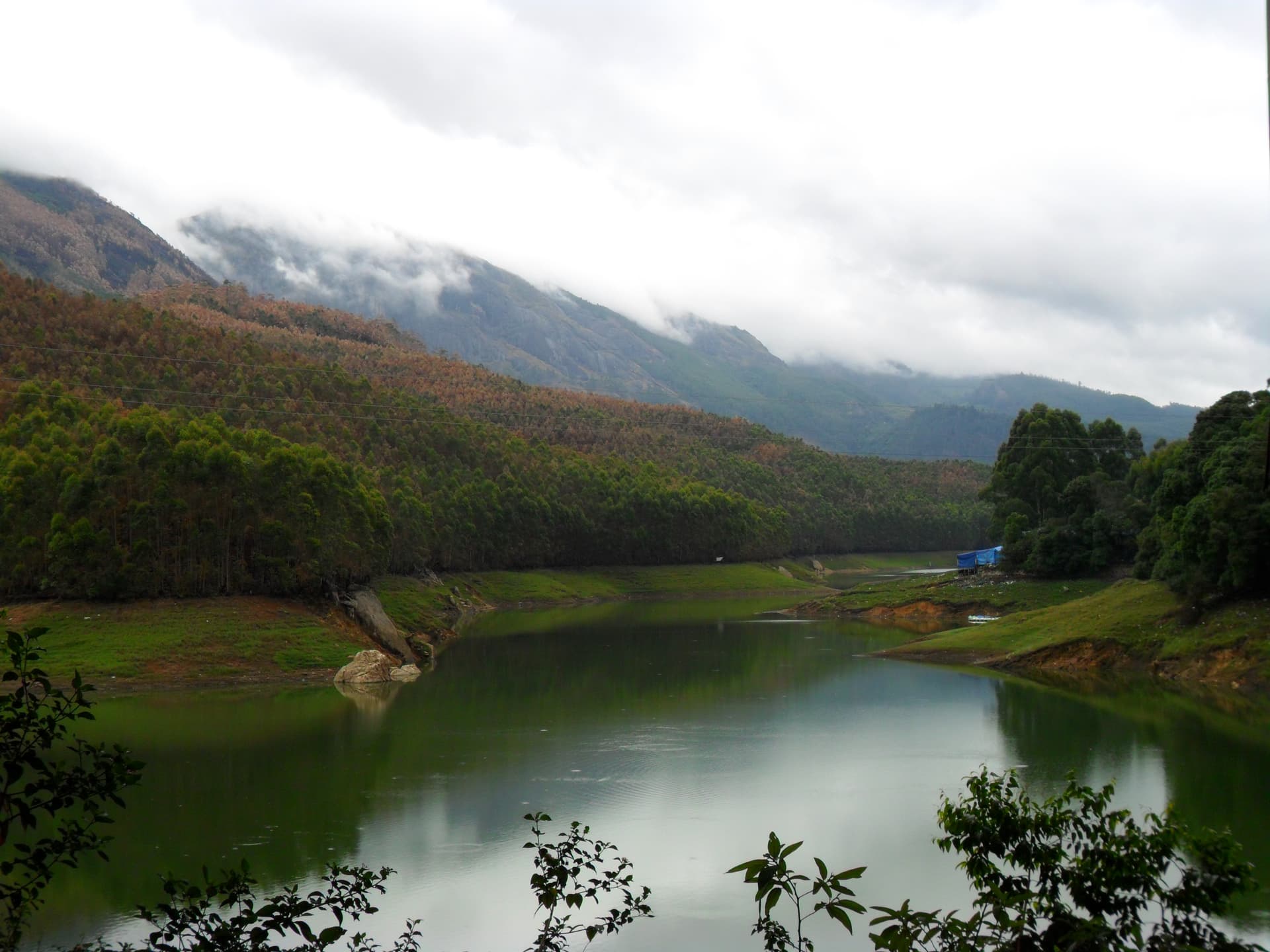 Mattupetty Dam, Munnar