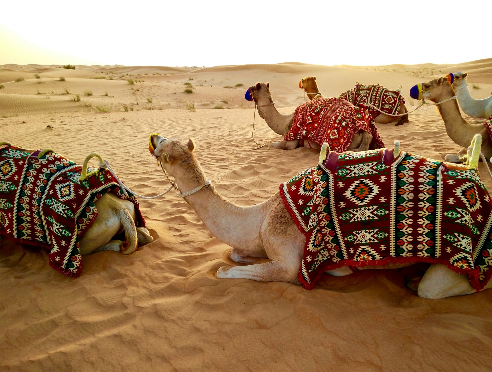 dubai deserts