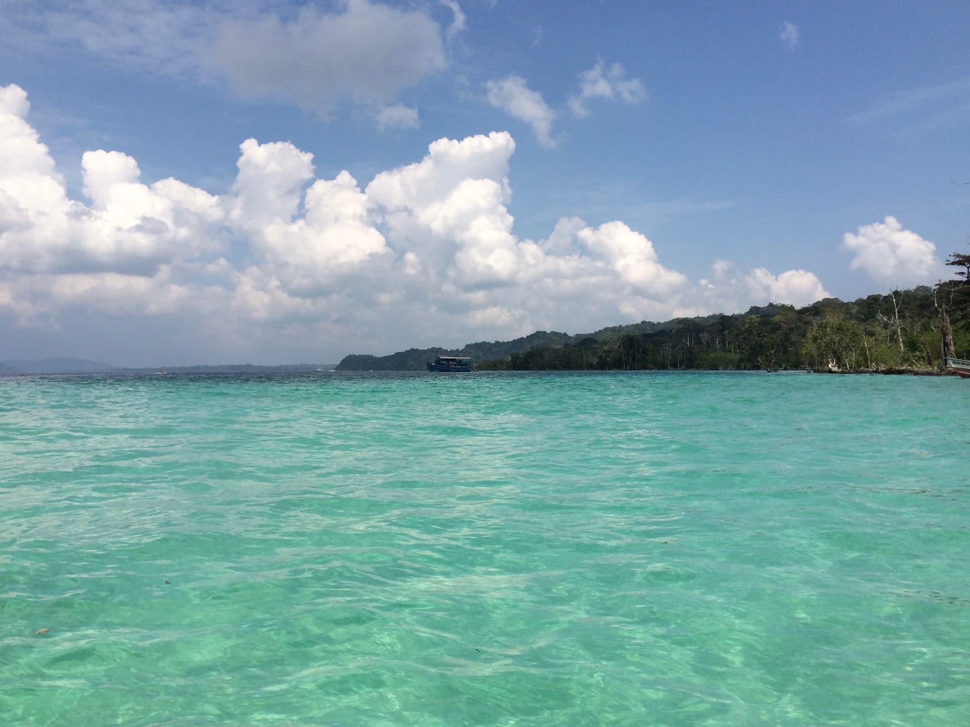 Elephant Beach,