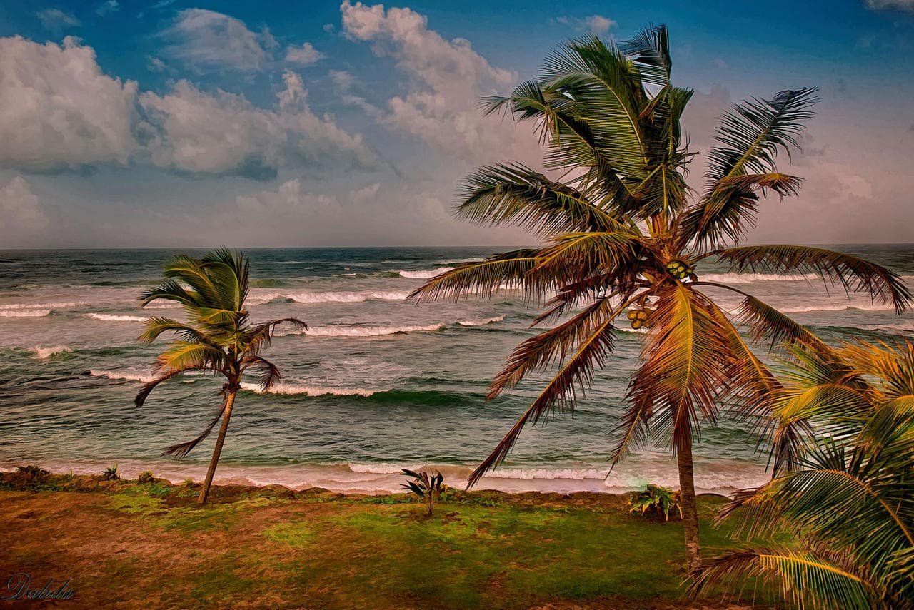 Beach in Sri Lanka